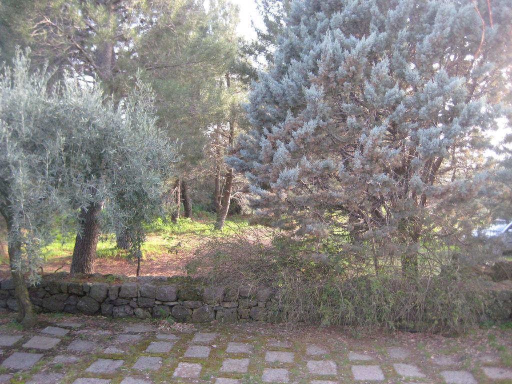 La Casa Del Cavaliere Villa Santa Maria di Licodia Szoba fotó