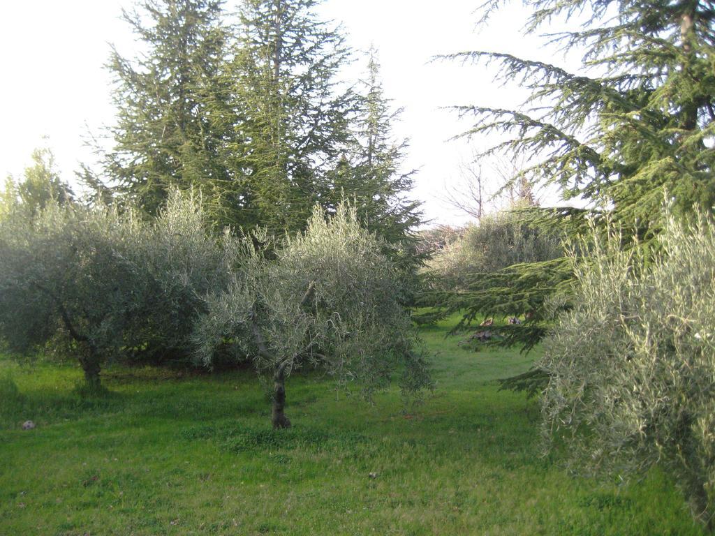 La Casa Del Cavaliere Villa Santa Maria di Licodia Szoba fotó