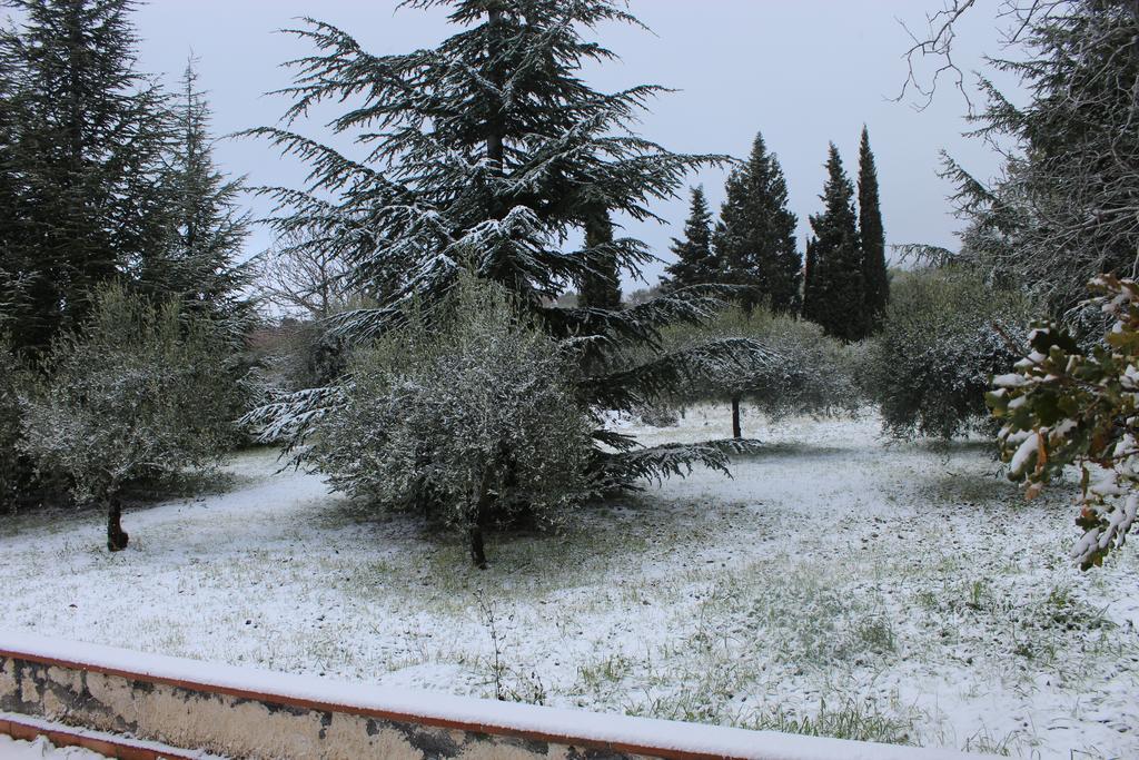 La Casa Del Cavaliere Villa Santa Maria di Licodia Kültér fotó